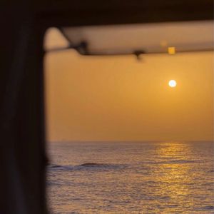 女人脱精光自慰幼女
